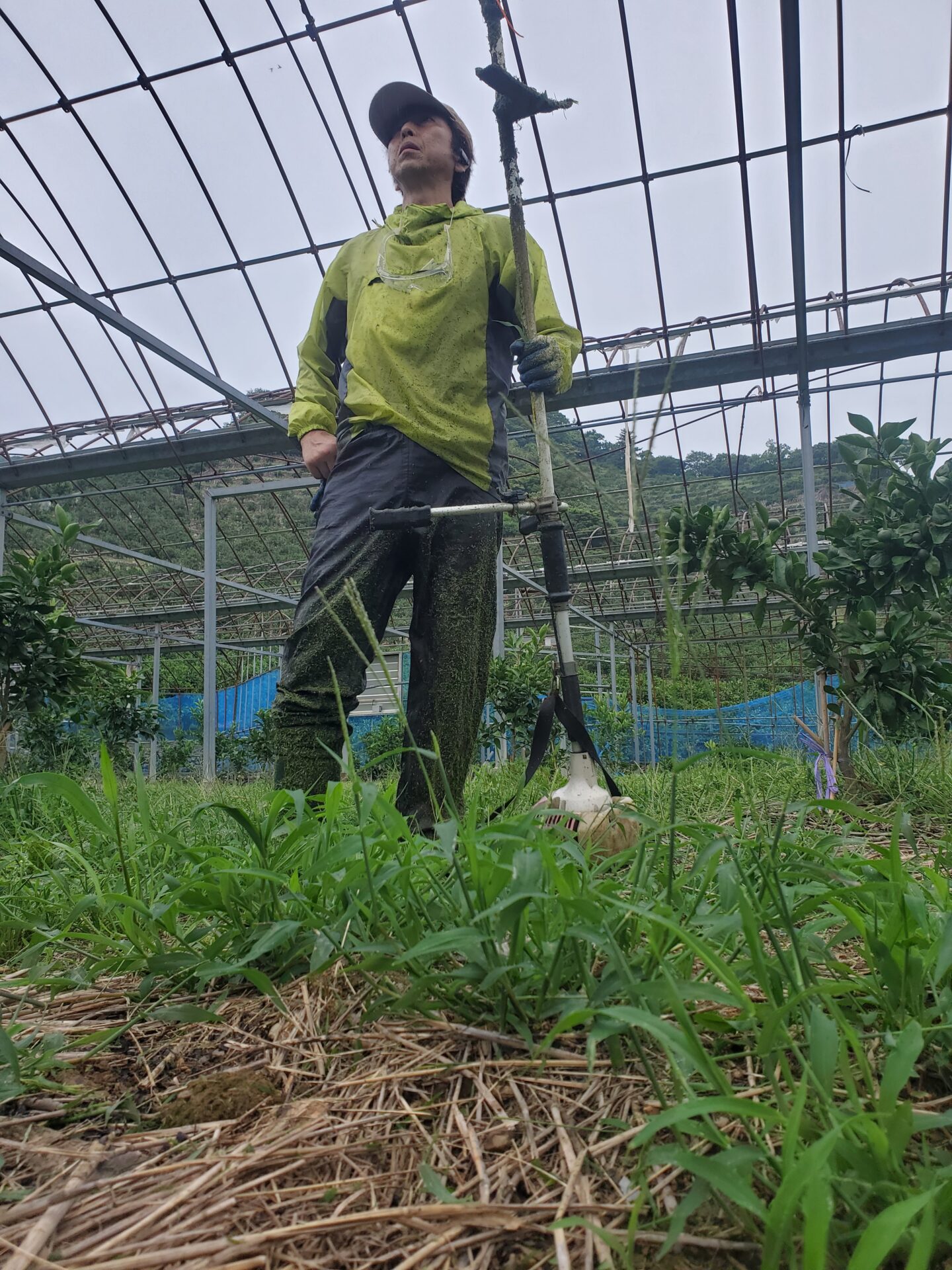 ６月　梅雨の合間の除草作業