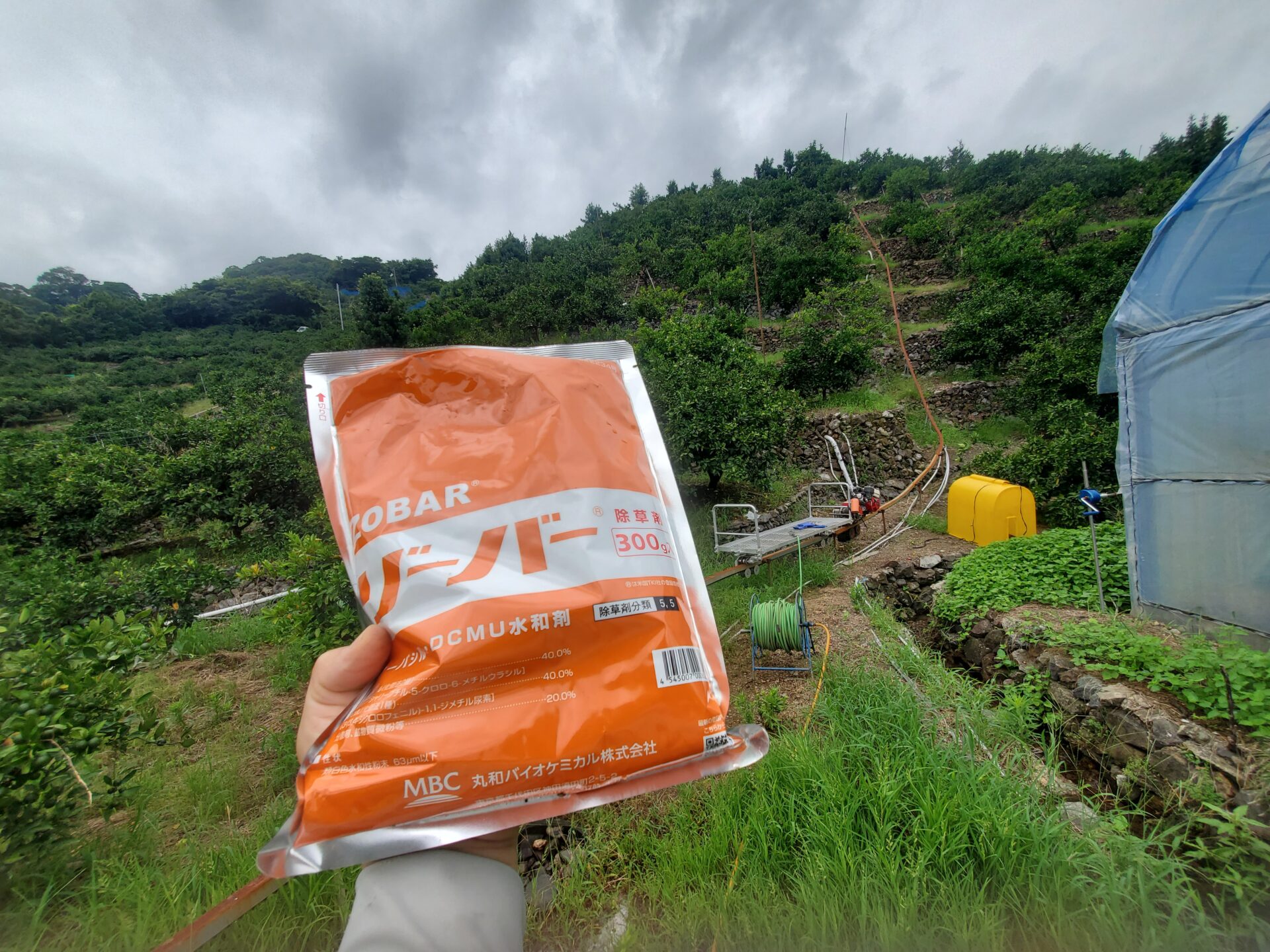 ７月１４日　山村園地　ゾーバーによる除草作業